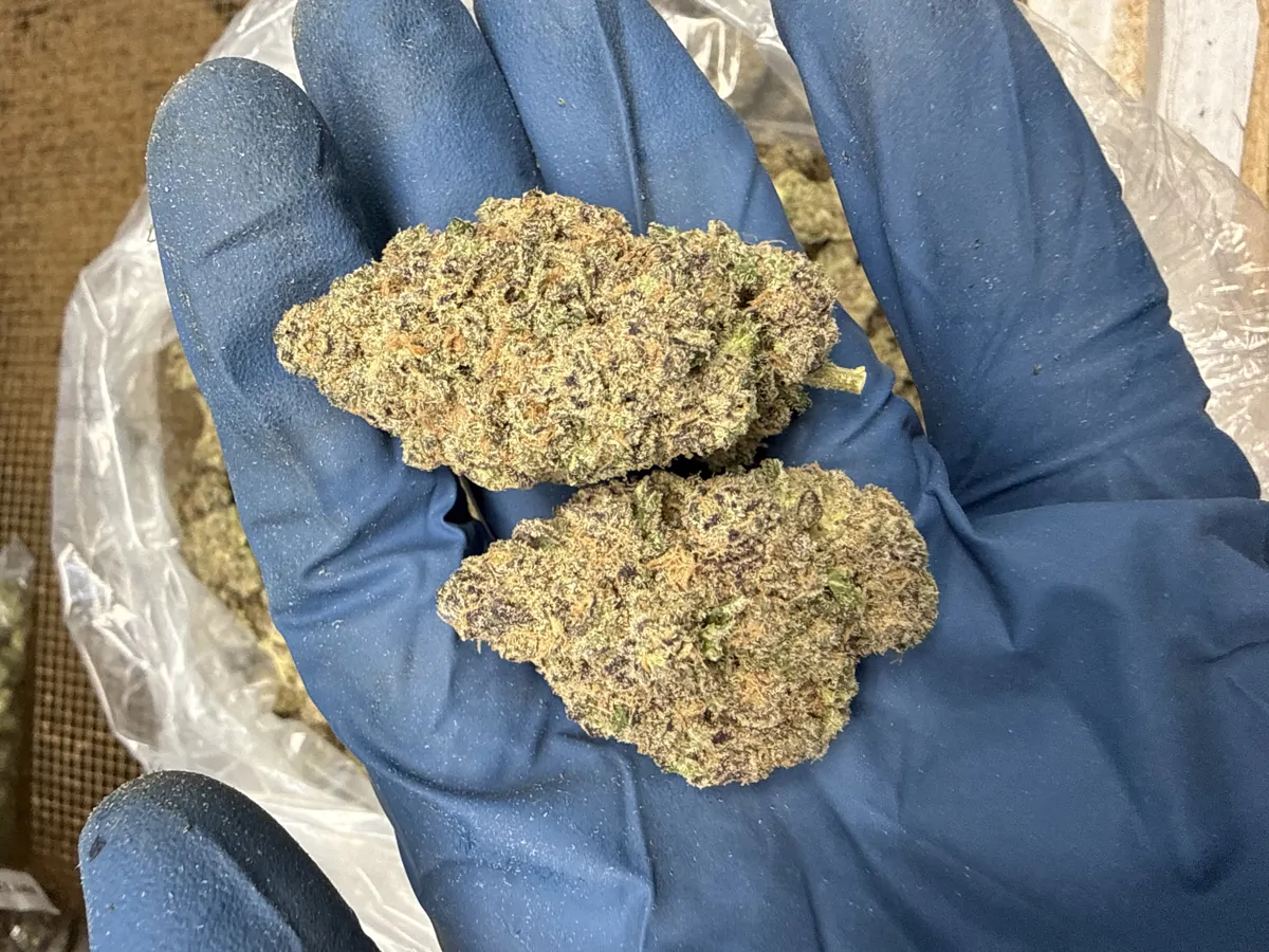Mule Fuel Flower